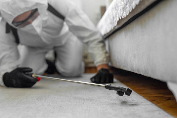 Professional Termite Control technician working in New River, AZ