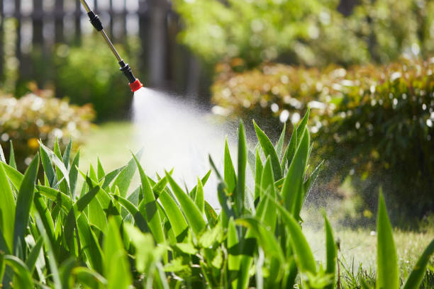 24/7 Emergency Termite Control experts in New River, AZ